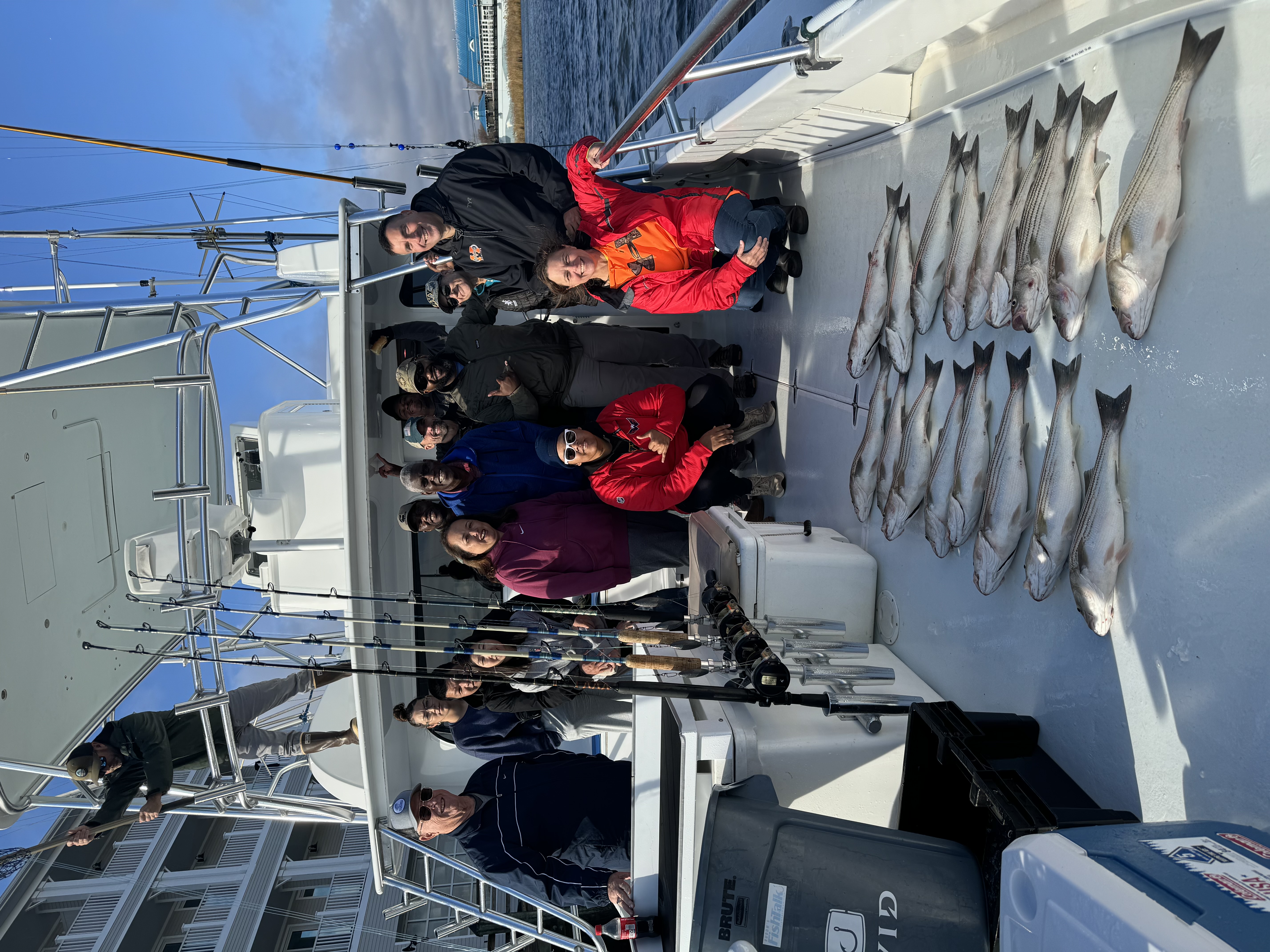 Back at the dock with catch
